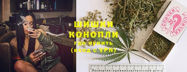 гидра Алексеевка