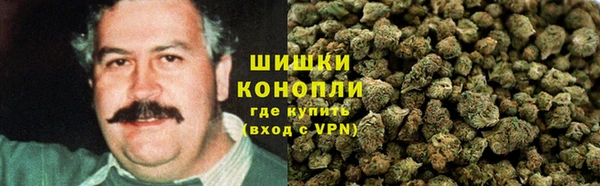 гидра Алексеевка
